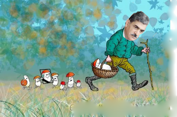 Грибы карикатура