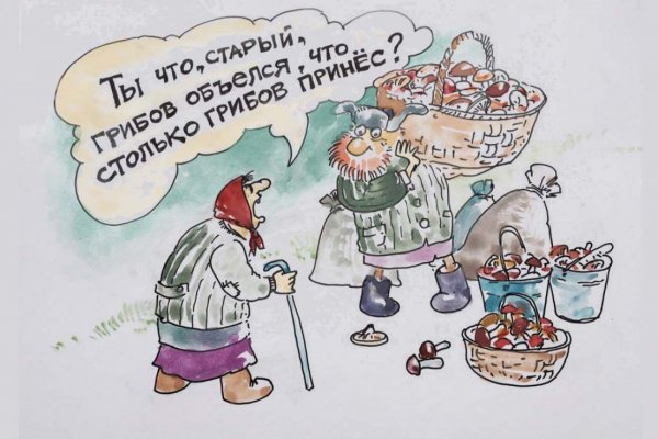 Приколы про грибников