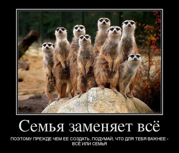 Семья демотиватор
