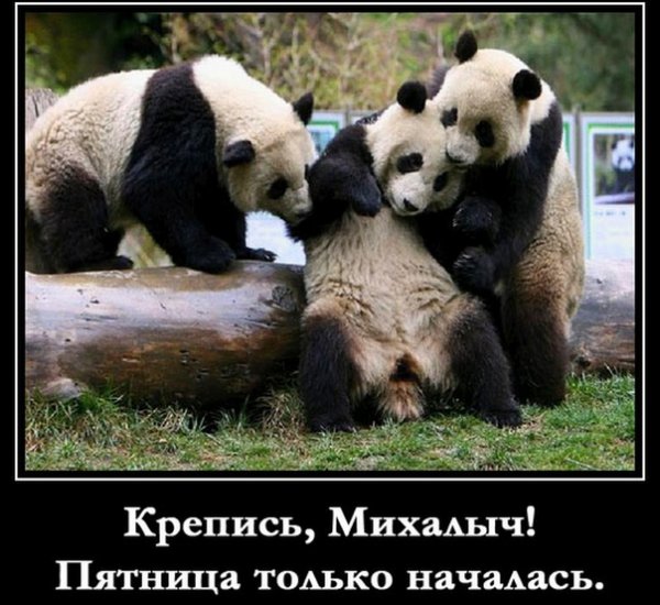 Пятница демотиваторы