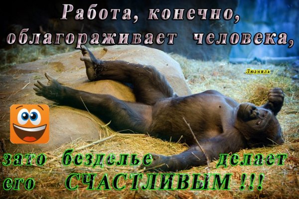 Пятница отдыхаем