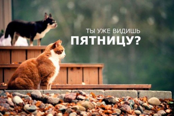 Скоро пятница