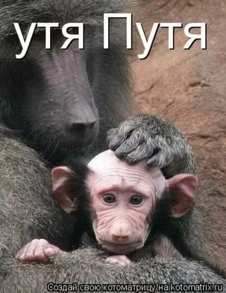 Приколы картинки с надписями