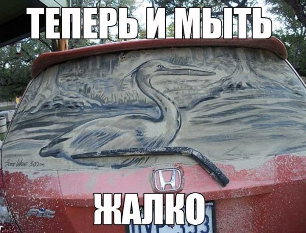 Приколы картинки с надписями
