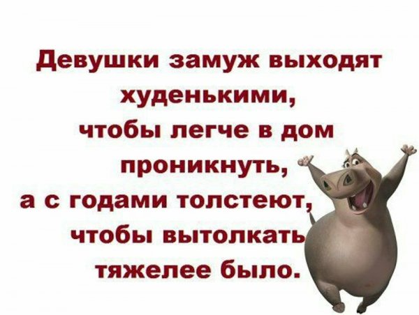 Юмор в картинках с надписями