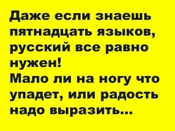 Афоризмы смешные до слез