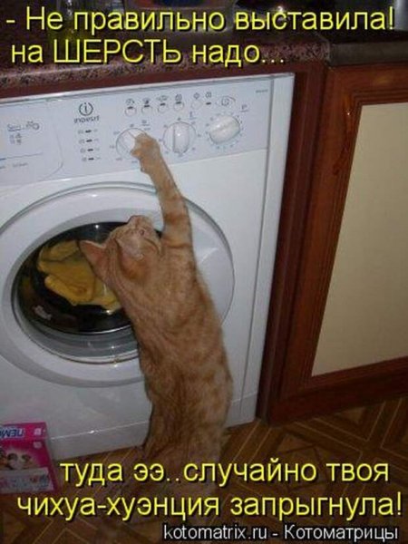 Приколы с надписями