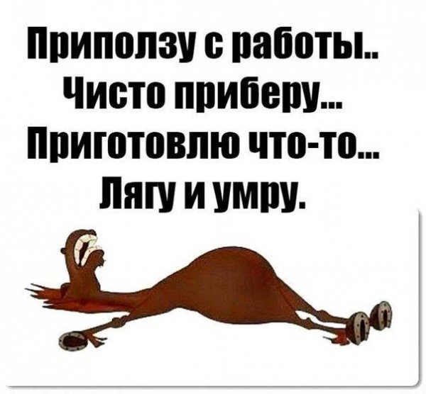 Статусы про работу прикольные