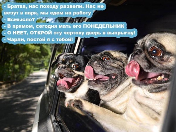 Смешные надписи про работу