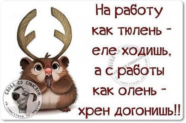 Цитаты про работу смешные