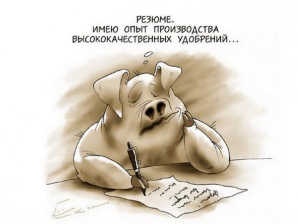 Прикольные цитаты про работу