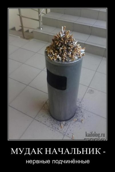 Демотиваторы про работу прикольные