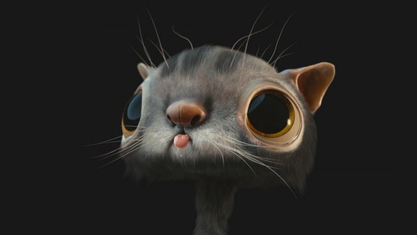 Обои на рабочий стол прикольные