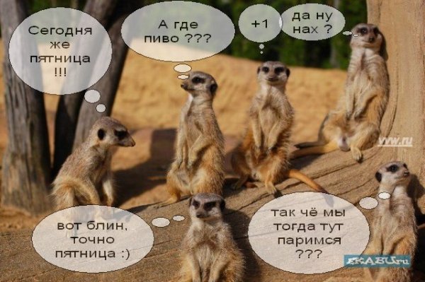 Шутки про пятницу