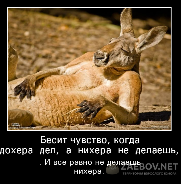 Пятничная шутка