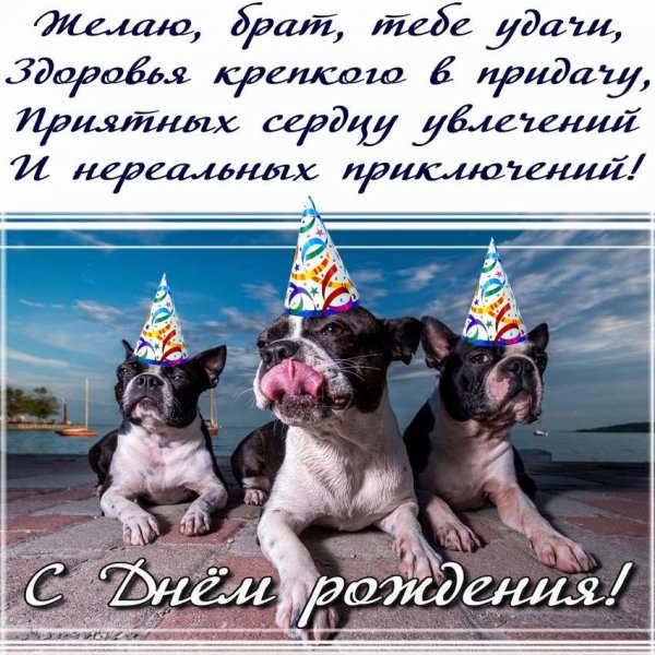 С днём рождения Бртаку