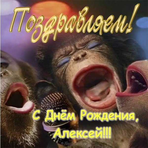 С днём рождения Алексей