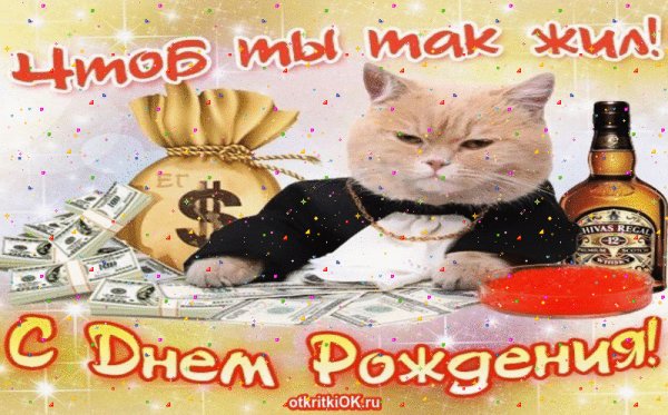 Прикольные поздравления с днем рождения
