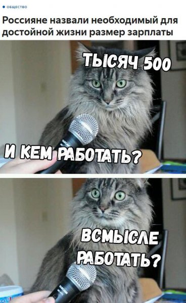 Смешные открытки для поднятия настроения