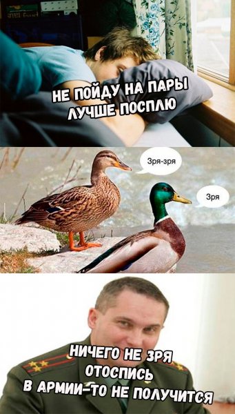Мем с текстом
