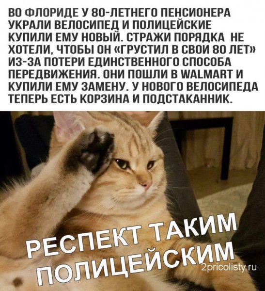 Приколы текст смешные