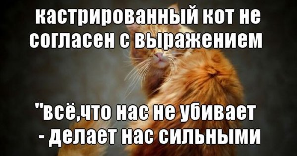 Приколы со словами