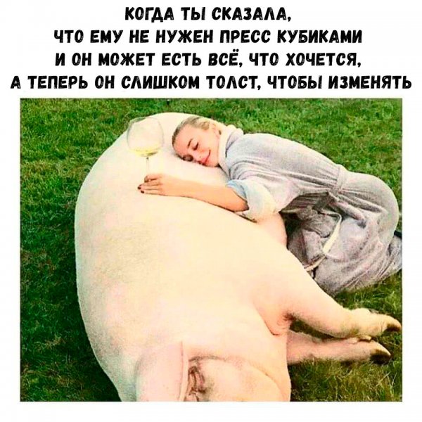 Современный юмор в картинках с надписями