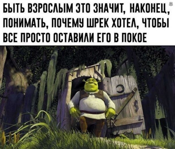 Картинки мемы приколы с надписями
