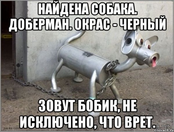 Приколы картинки с надписями