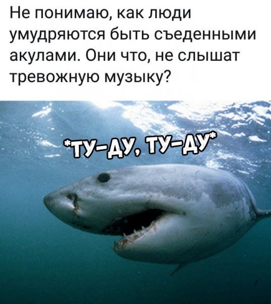 Смешные шутки о коронавирусе