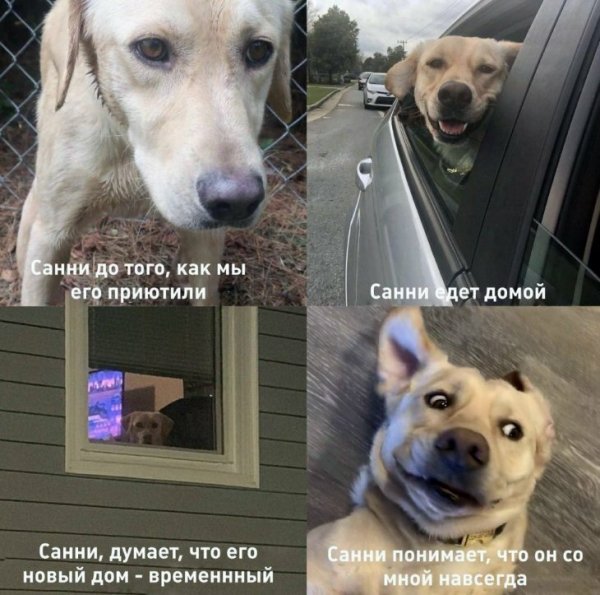 Прикольные комменты
