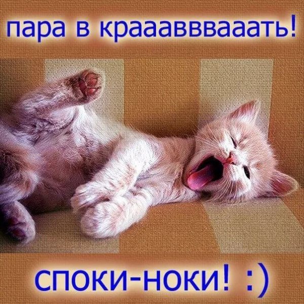 Споки ноки