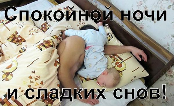 Спокойнойночки папа мама