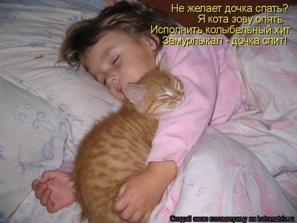 Спокойной ночи принцесса