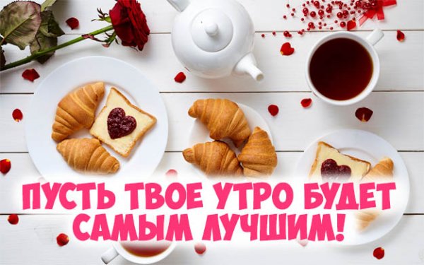 Доброе утро дорогая прикол
