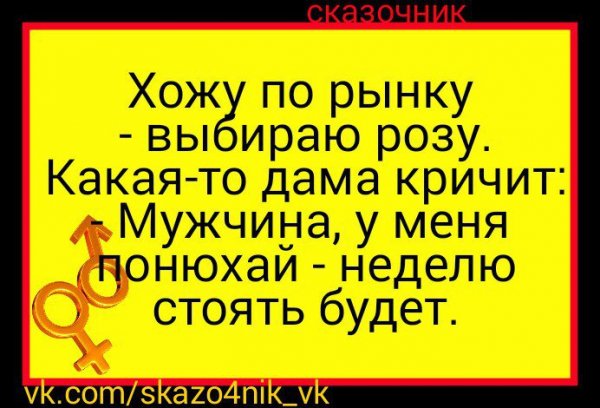 Приколы шутки смех