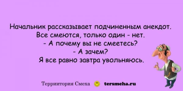 Смех анекдоты