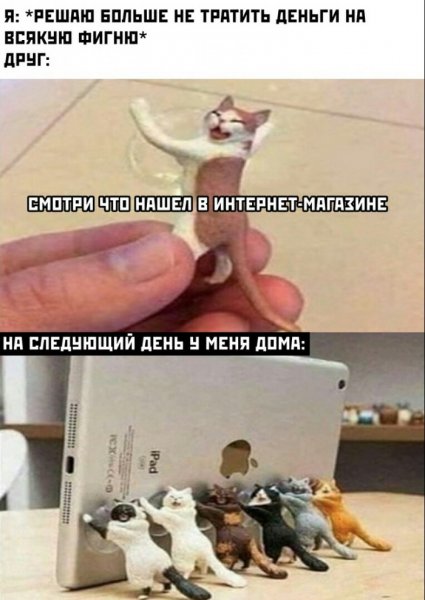 Мемы смешные новые