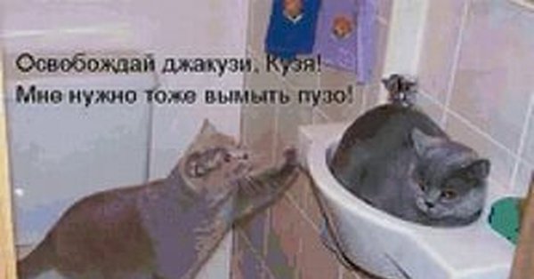 Смешные рисунки с надписями до слёз