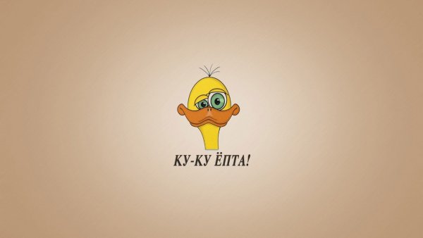 Прикольные обои с надписями
