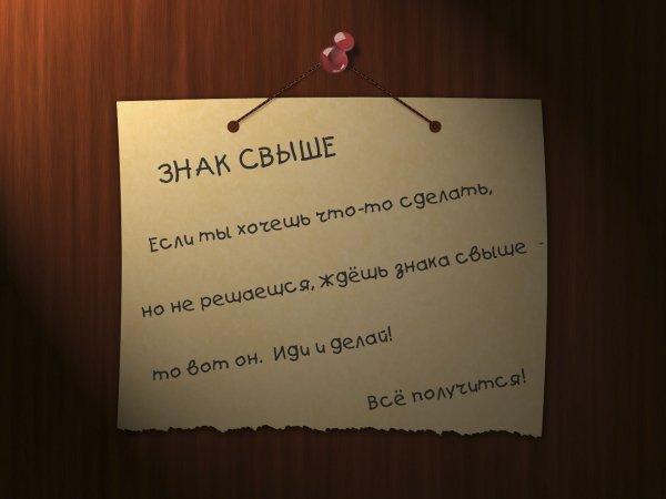 Смешные цитаты на обои