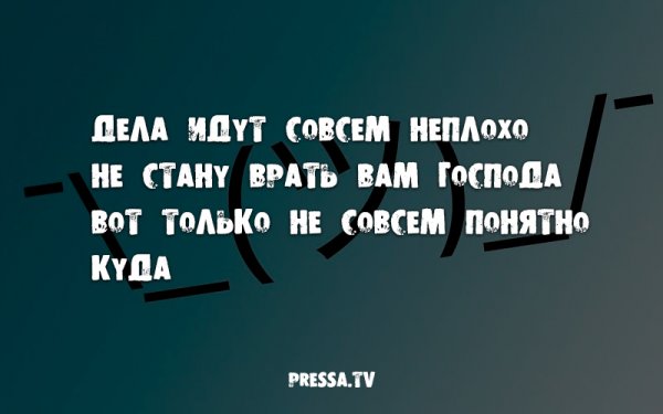 Афоризмы в картинках смешные