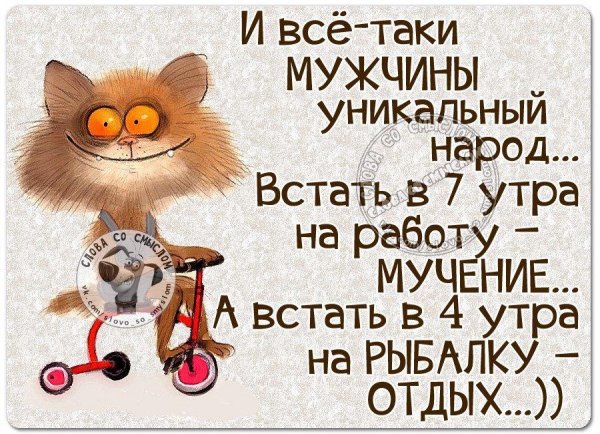 Смешные высказывания