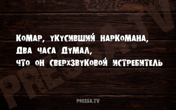 Смешные высказывания