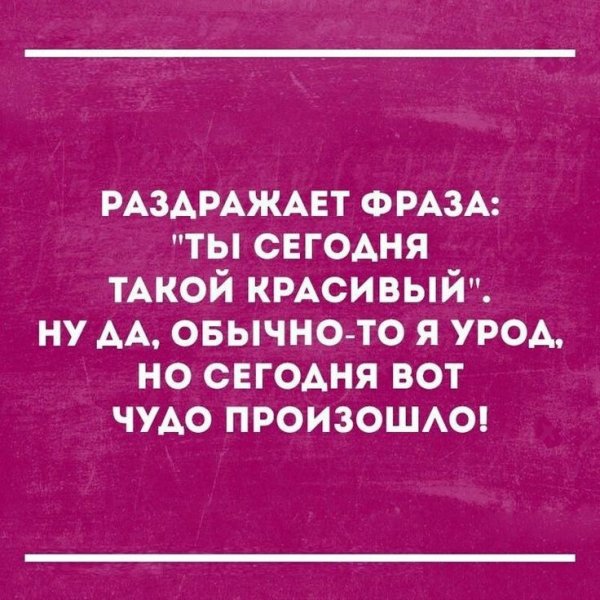 Смешные цитаты до слез