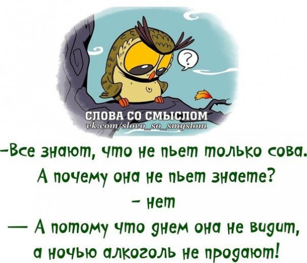 Цитаты со смыслом прикольные