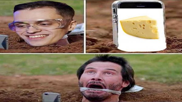 Йопаний сир бустер