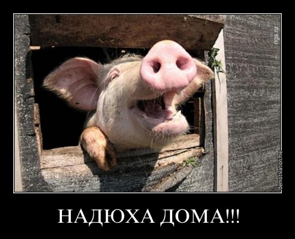 Китайская порода Мейшан