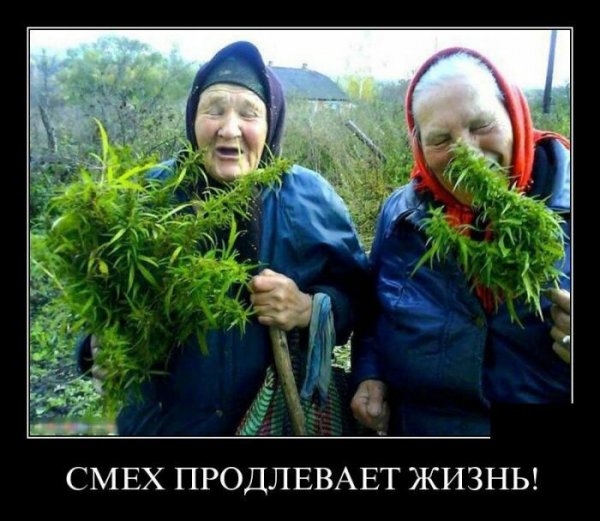 Угарные демотиваторы