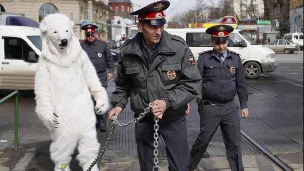 Полицейский прикол